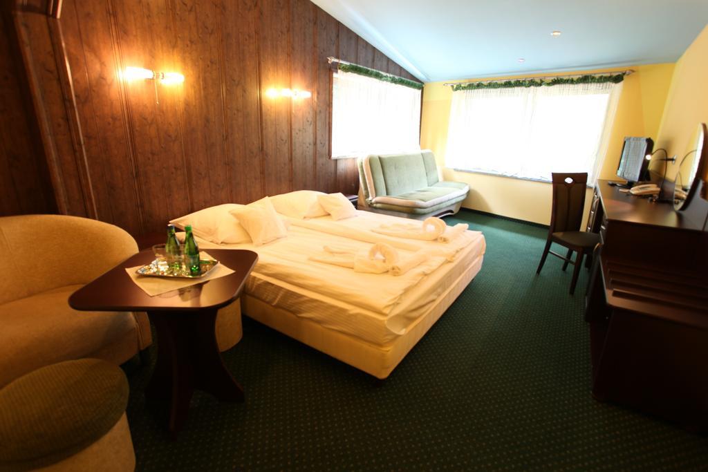 Hotel Arka Spa ヴィスワ 部屋 写真