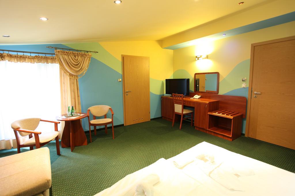 Hotel Arka Spa ヴィスワ 部屋 写真